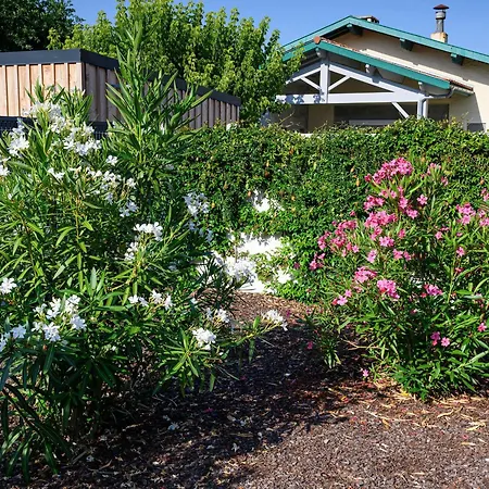 Maison Moderne Près Aiguillon - 2 Chambres, Terrasse, Jardin, Parking - Calme Et Confort - Fr-1-420-63