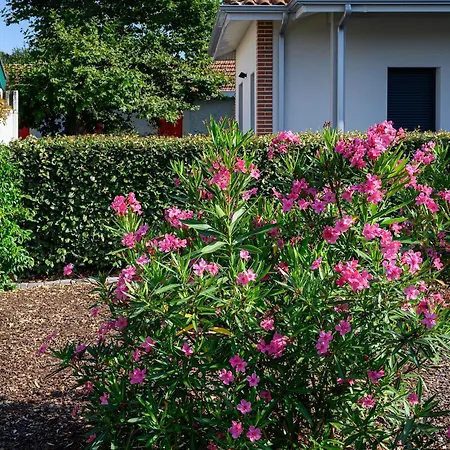 Maison Moderne Pres Aiguillon - 2 Chambres, Terrasse, Jardin, Parking - Calme Et Confort - Fr-1-420-63 Ferienhaus Arcachon