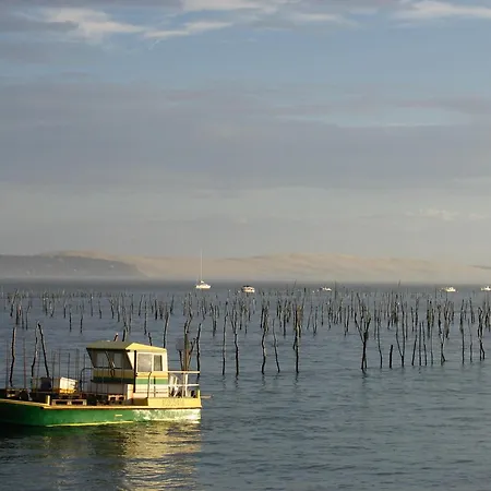 Maison Moderne Pres Aiguillon - 2 Chambres, Terrasse, Jardin, Parking - Calme Et Confort - Fr-1-420-63 Ferienhaus