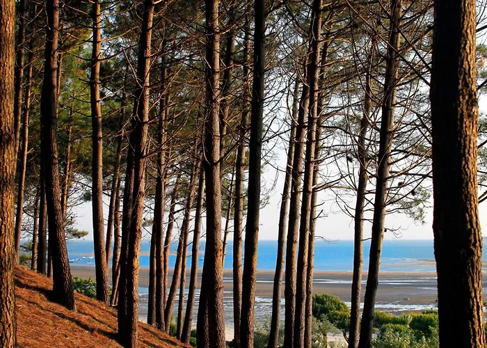 Maison Moderne Pres Aiguillon - 2 Chambres, Terrasse, Jardin, Parking - Calme Et Confort - Fr-1-420-63 別荘