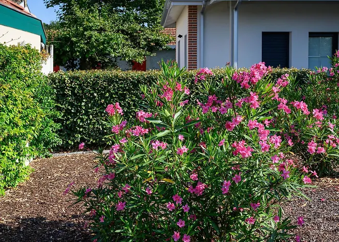 Maison Moderne Pres Aiguillon - 2 Chambres, Terrasse, Jardin, Parking - Calme Et Confort - Fr-1-420-63 別荘 アルカション