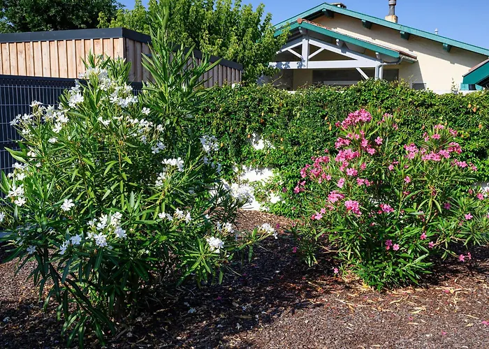 Maison Moderne Pres Aiguillon - 2 Chambres, Terrasse, Jardin, Parking - Calme Et Confort - Fr-1-420-63