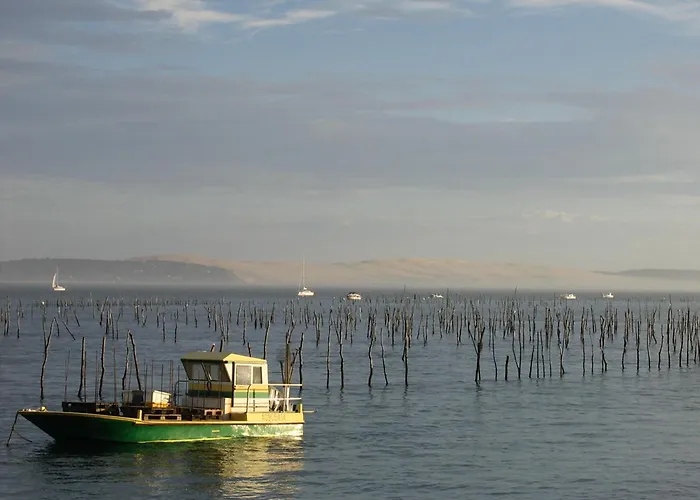 Maison Moderne Pres Aiguillon - 2 Chambres, Terrasse, Jardin, Parking - Calme Et Confort - Fr-1-420-63 Дом отдыха *